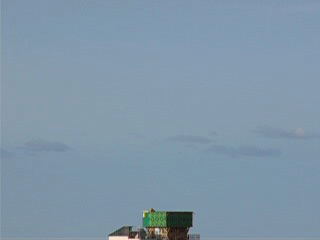 flock-of-seabirds-thumbnail